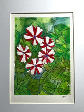 Load image into Gallery viewer, Red and white vinca