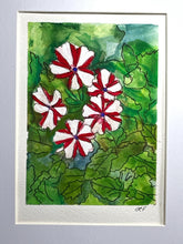 Load image into Gallery viewer, Red and white vinca