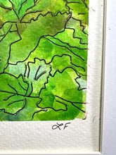 Load image into Gallery viewer, Red and white vinca