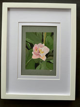 Load image into Gallery viewer, Double tulip
