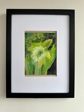 Load image into Gallery viewer, Green orchid
