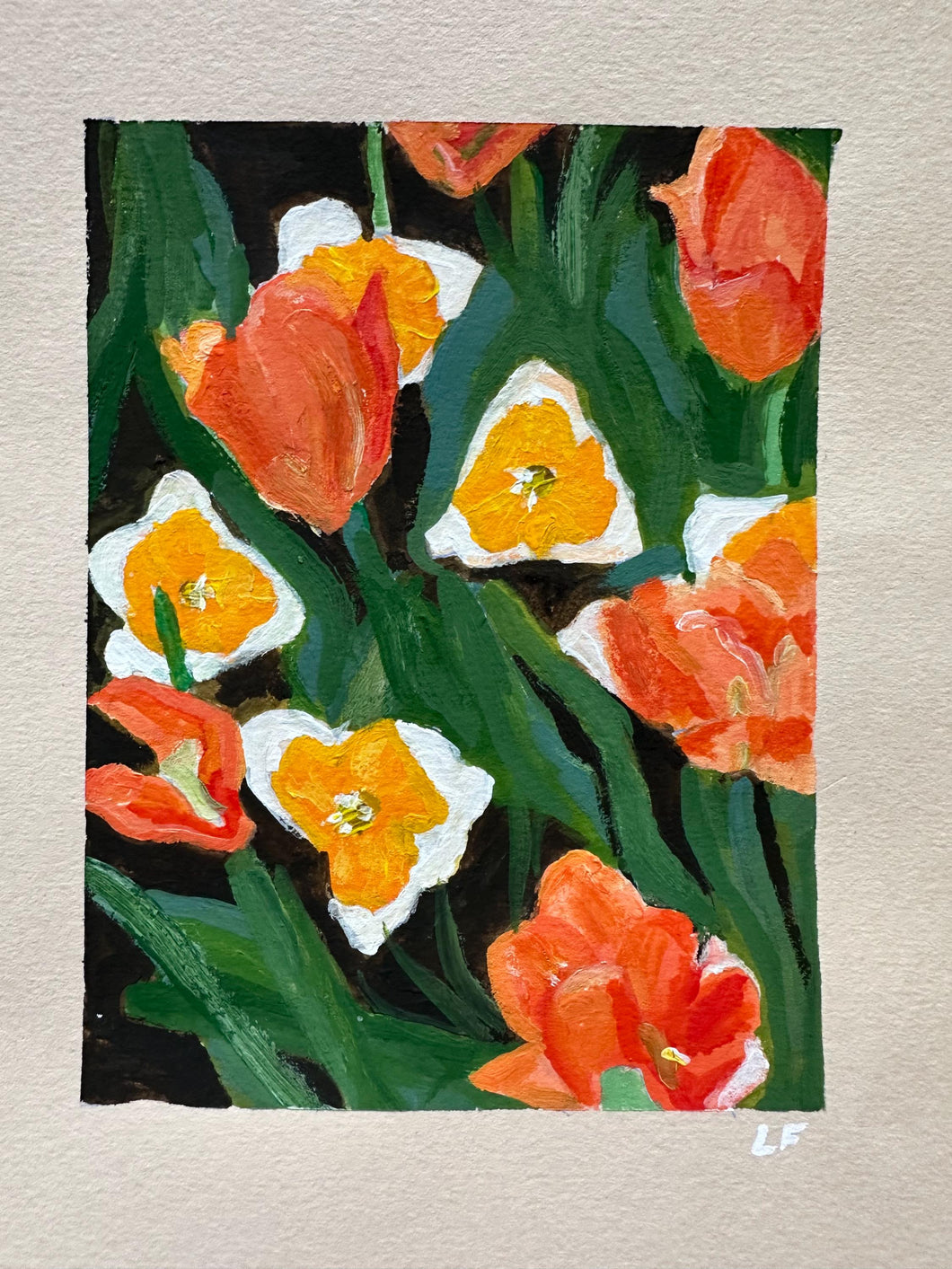 Daffs and tulips