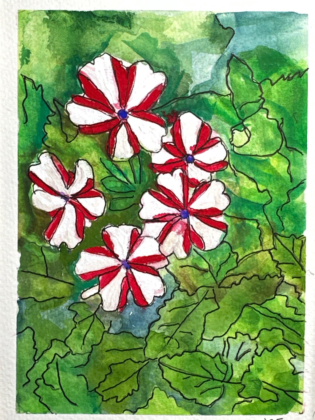 Red and white vinca