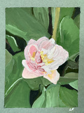 Load image into Gallery viewer, Double tulip

