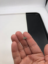 Load image into Gallery viewer, rhinoceros earrings
