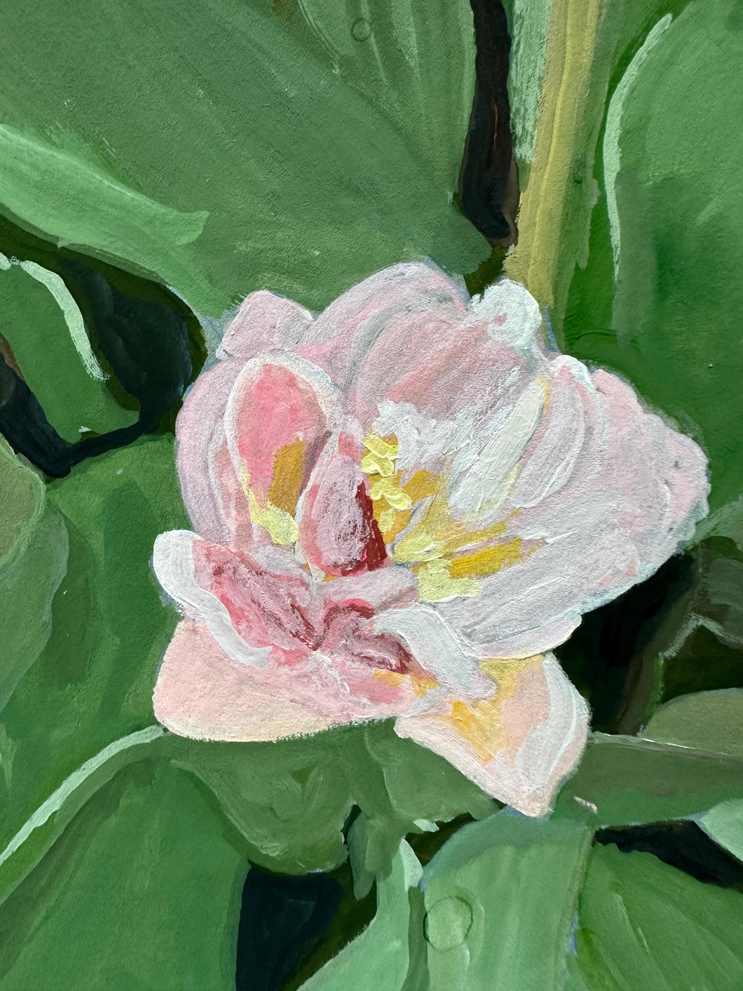 Double tulip